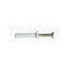 Dübel beüthető csavarral 3,5x29mm 5mmx 25mm műanyag TRACON - TB525