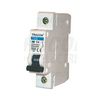 Kismegszakító 1P 6A C-jelleg 230V AC 6kA/60898 TDZ TRACON - TDZ-1C-6